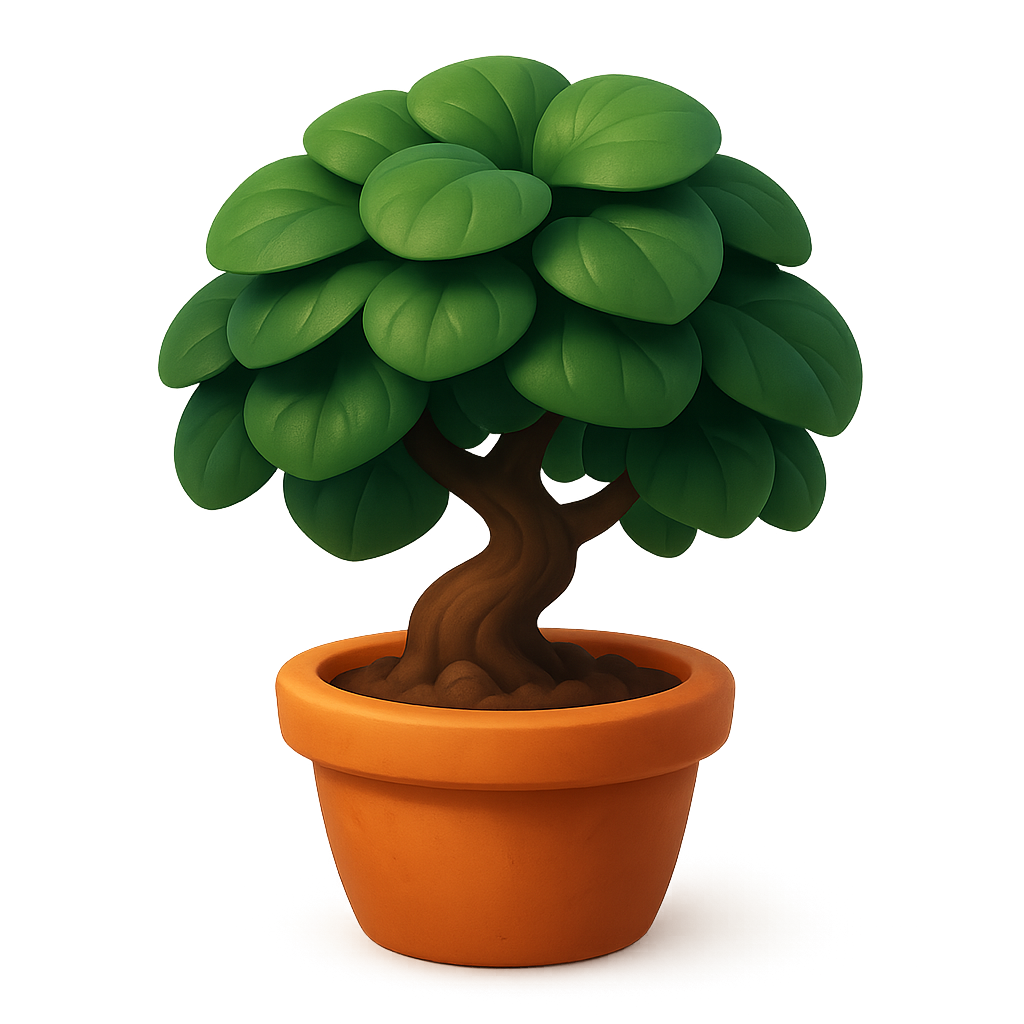 Bonsai Tree plant in a terracotta pot