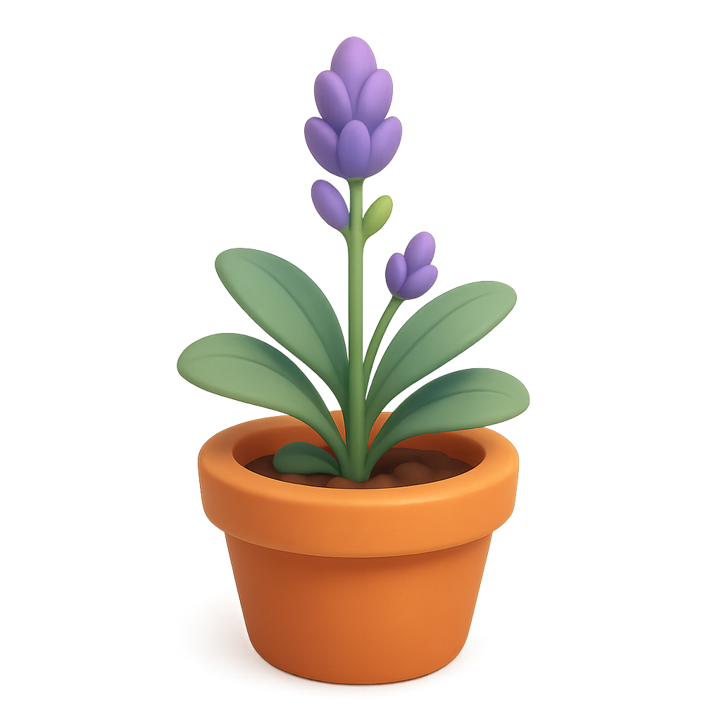 Lavender growth stage 4 of 6