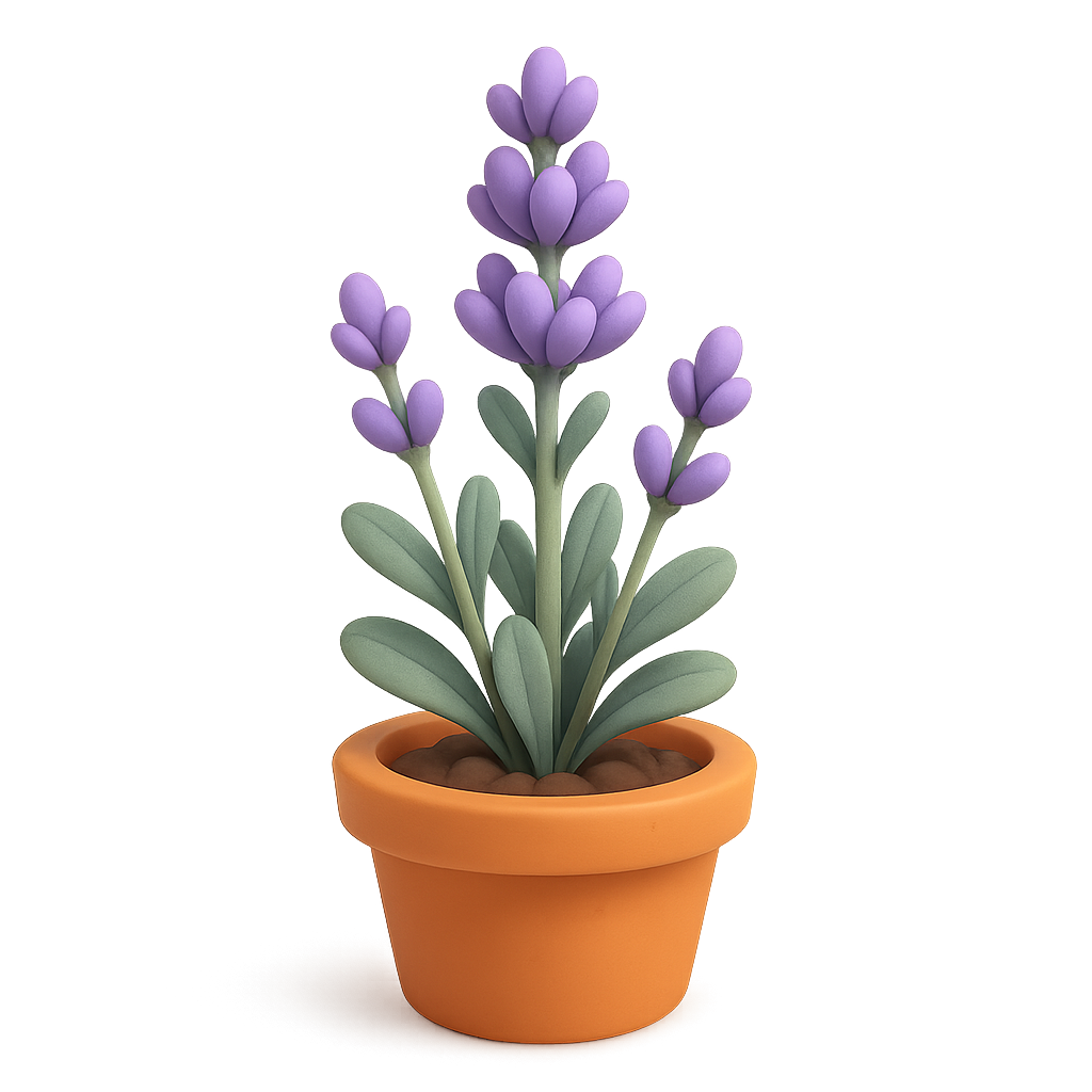 Lavender growth stage 5 of 6